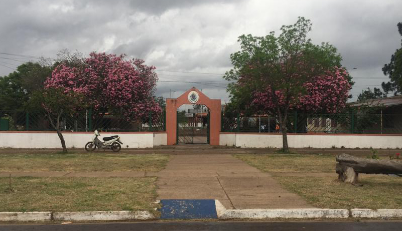 Escuela 19