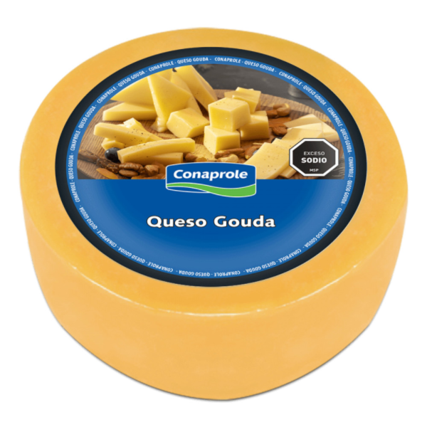 queso conaprole gouda (829) queso conaprole gouda (829)