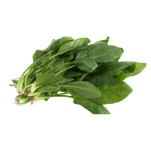 verduras espinaca