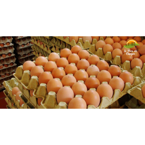 huevos del campo ´ araza´ color env. (1/2 doc.) (96029)