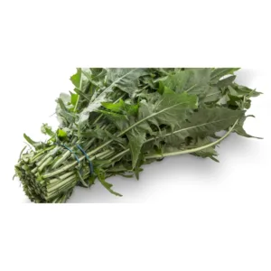 verduras achicoria verduras achicoria