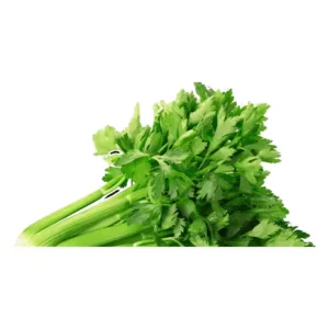 verduras apio media planta
