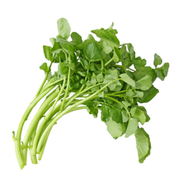 verduras berro verduras berro