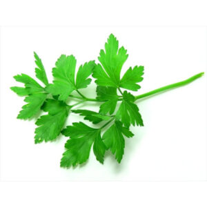 verduras perejil verduras perejil