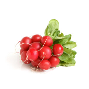 verduras rabanito verduras rabanito