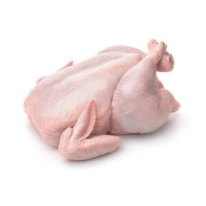 pollo.jpg pollo.jpg